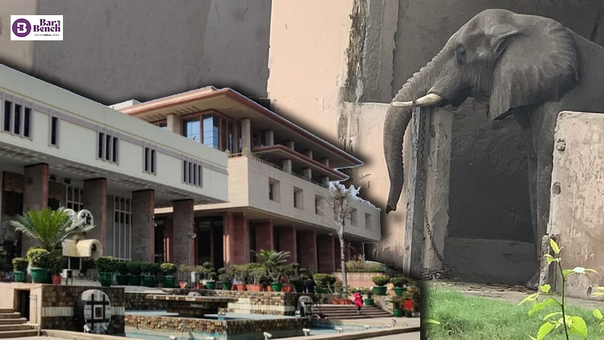 Plea in Delhi High Court alleges lone African elephant in Delhi Zoo chained for 17 hours, mistreated