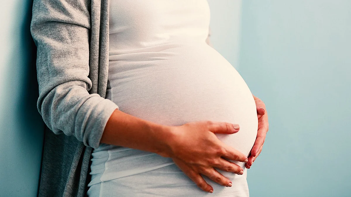 Employers should ensure maternity does not affect female employees' career prospects: Kerala High Court