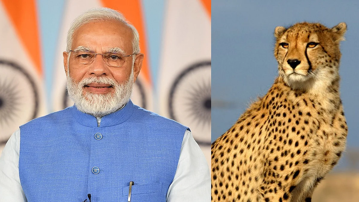 Narendra Modi and cheetah