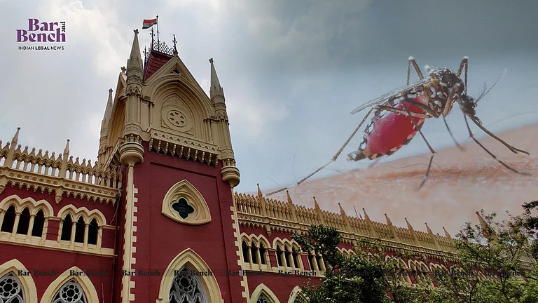 Dengue death due to mosquito bite not 'accident' to allow accident insurance claim: Calcutta High Court Dengue death due to mosquito bite not 'accident' to allow accident insurance claim: Calcutta High Court