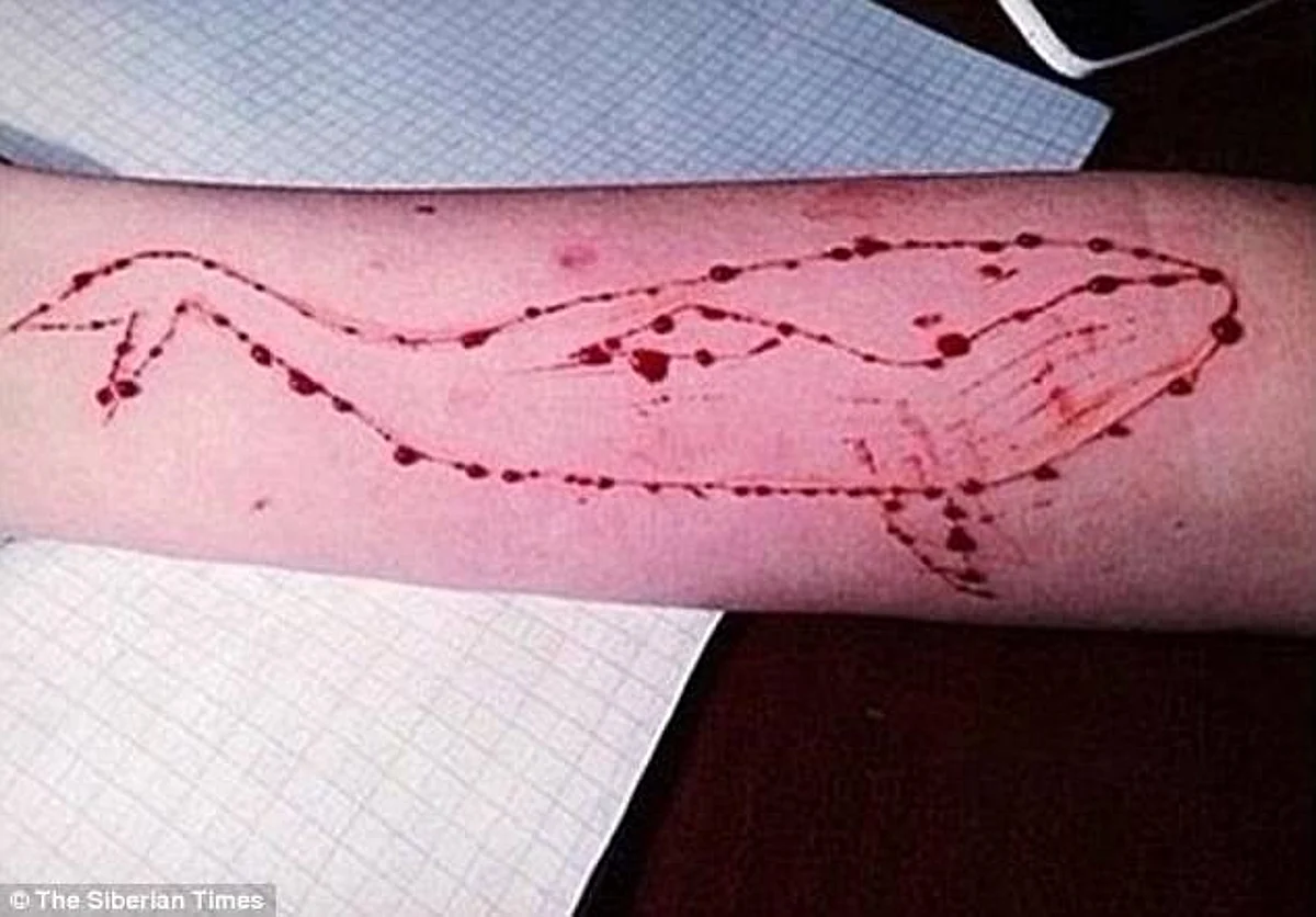 Blue Whale game: SC directs private channels to telecast educational programme