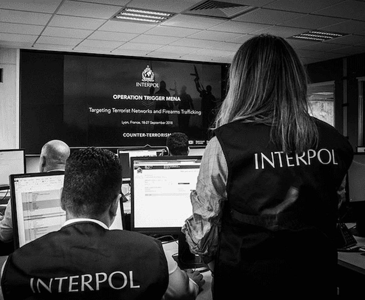 The Viewpoint: A brief guide to Interpol notices