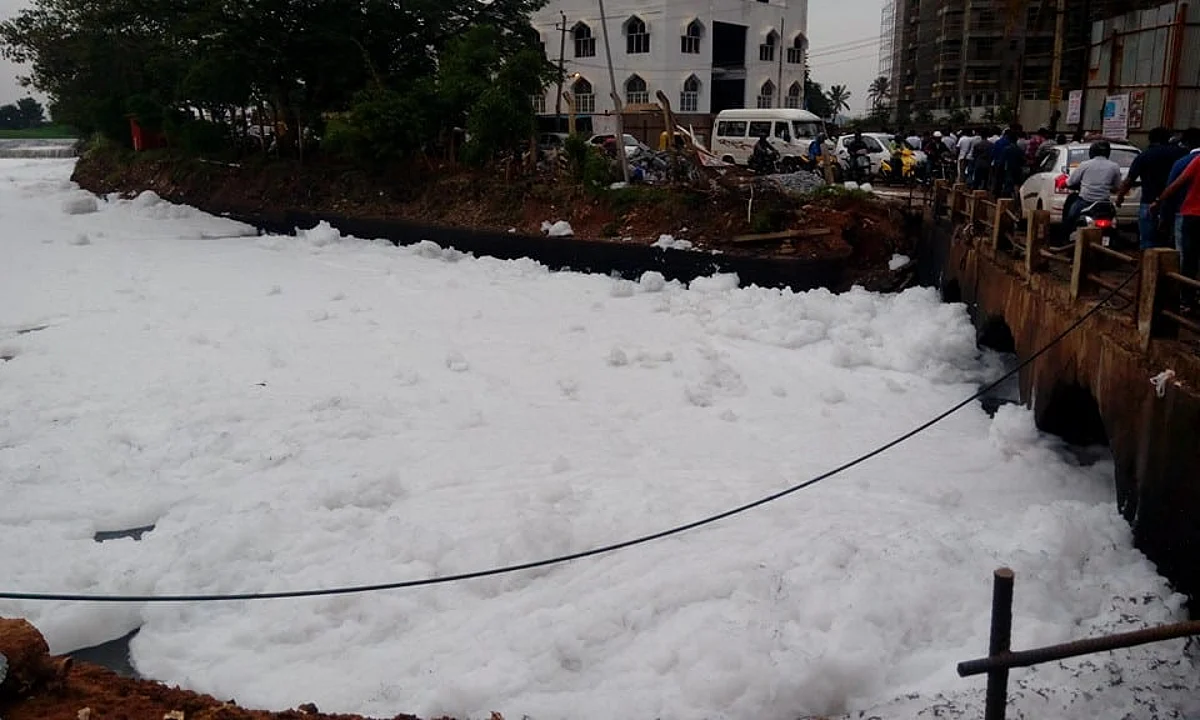 The cost(s) of negligence: NGT imposes heavy penalties on Karnataka for failure to protect Bangalore lakes