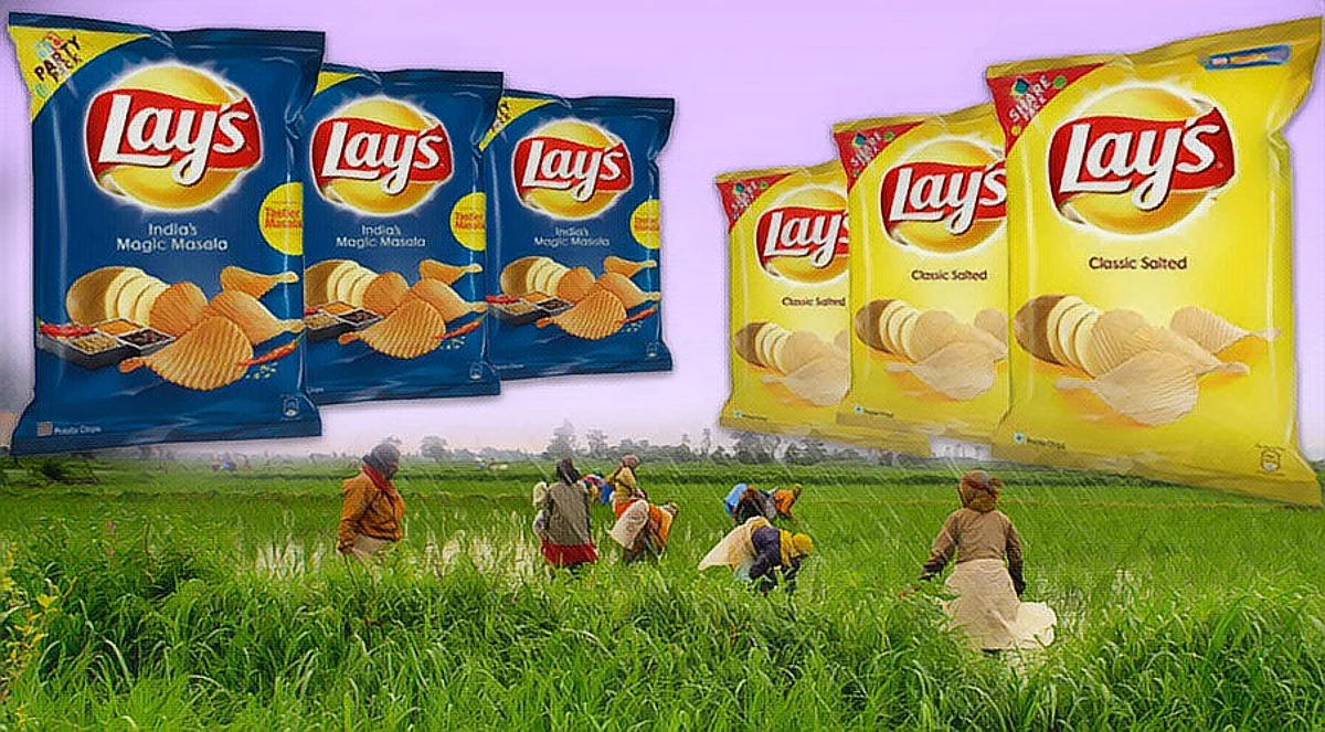 Willing to grant licenses to farmers: PepsiCo submits in potato infringement suit