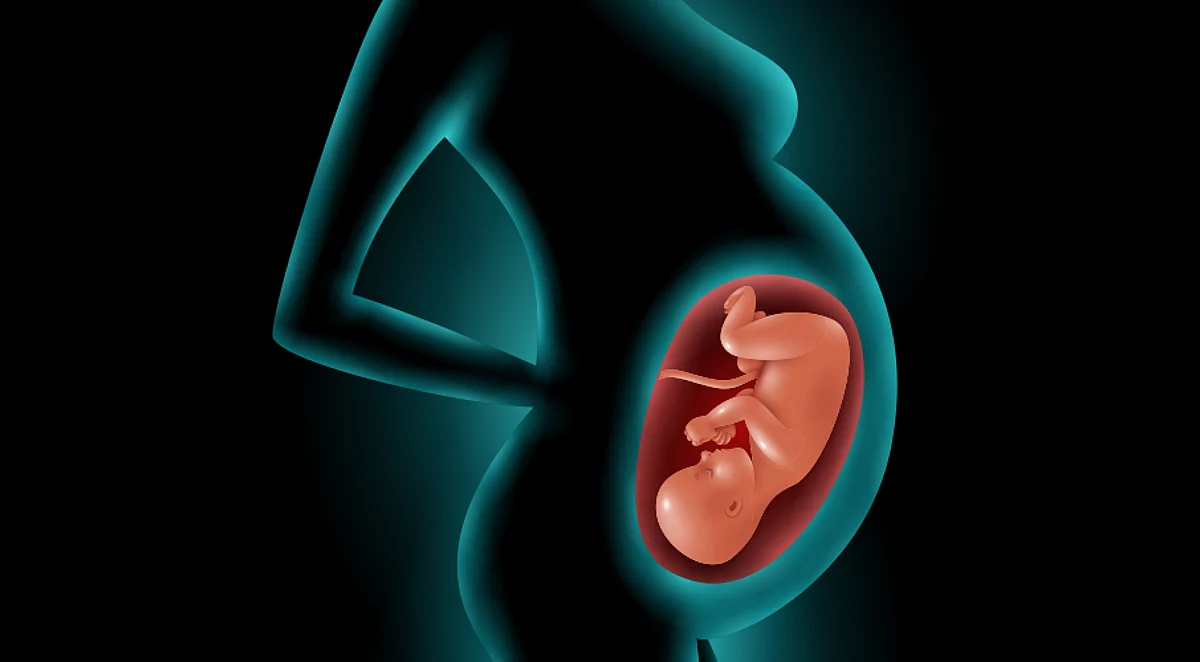 Right to Reproduce: Maharashtra court allows woman to have baby with estranged husband through IVF