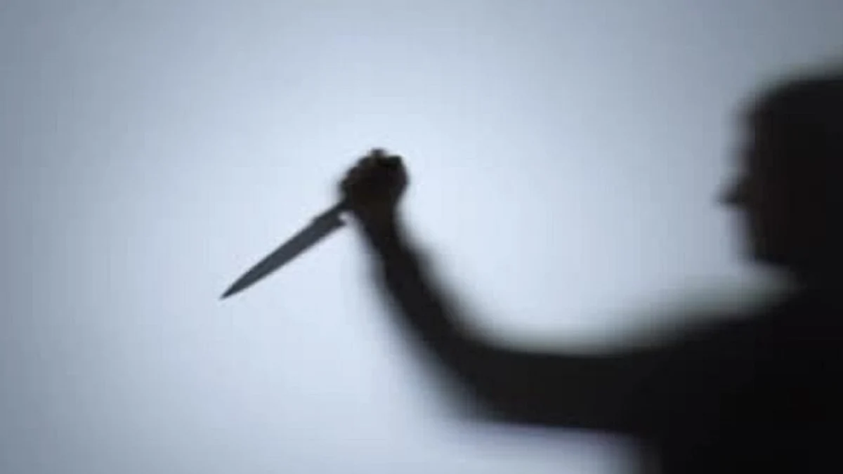 TN न्यायिक मजिस्ट्रेट पर कार्यालय सहायक ने चैंबर के अंदर चाकू से हमला किया