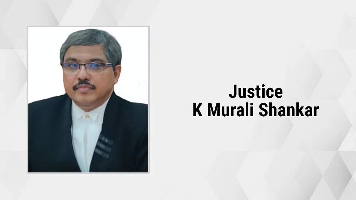 Justice K Murali Shankar