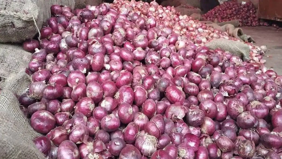 ಈರುಳ್ಳಿ ರಫ್ತು ನಿಷೇಧ: ಬಾಕಿ ಸರಕಿನ ರಫ್ತಿಗೆ ಅನುಮತಿಸುವಂತೆ ಕಸ್ಟಮ್ಸ್ ಗೆ ಸೂಚಿಸಿದ ಬಾಂಬೆ ಹೈಕೋರ್ಟ್