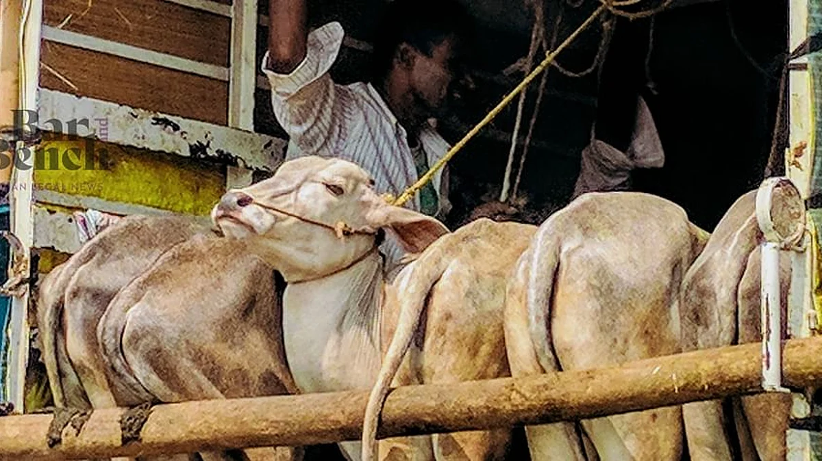 ಪ್ರಾಣಿಗಳು ಜೀವನೋಪಾಯದ ಮೂಲ, ಆರೋಪಿಗೆ ಶಿಕ್ಷೆ ವಿಧಿಸುವವರೆಗೆ ಅವನ್ನು ವಶಪಡಿಸಿಕೊಳ್ಳುವಂತಿಲ್ಲ: ಸುಪ್ರೀಂ ಕೋರ್ಟ್