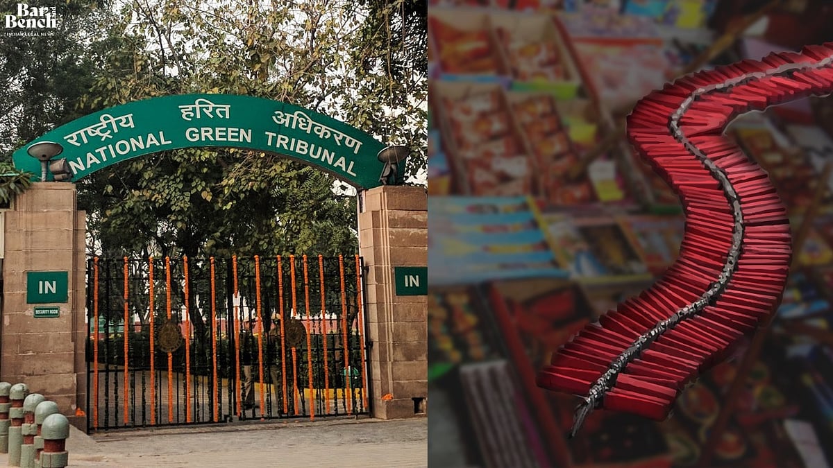 Should Firecrackers be banned in NCR during festive season