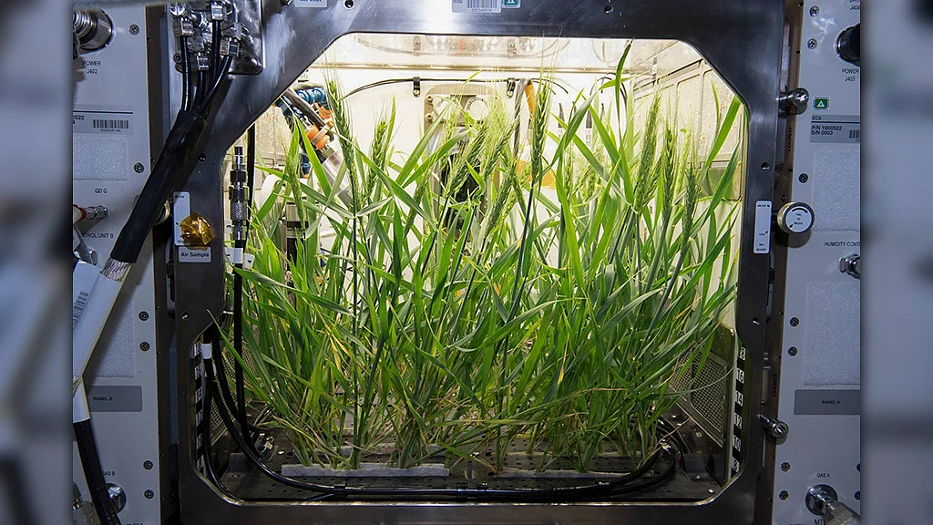 <div class="paragraphs"><p><em>ছবি: নাসা</em></p></div>