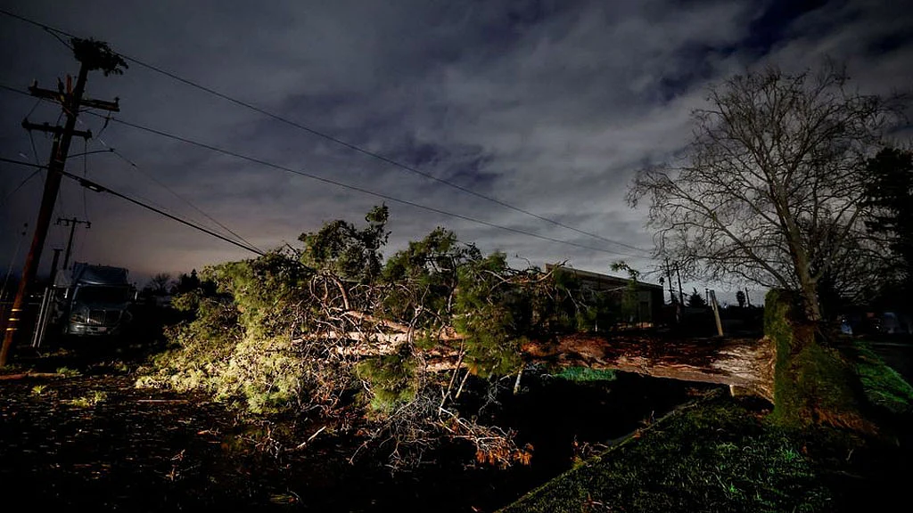 <div class="paragraphs"><p>ছবি: রয়টার্স</p></div>