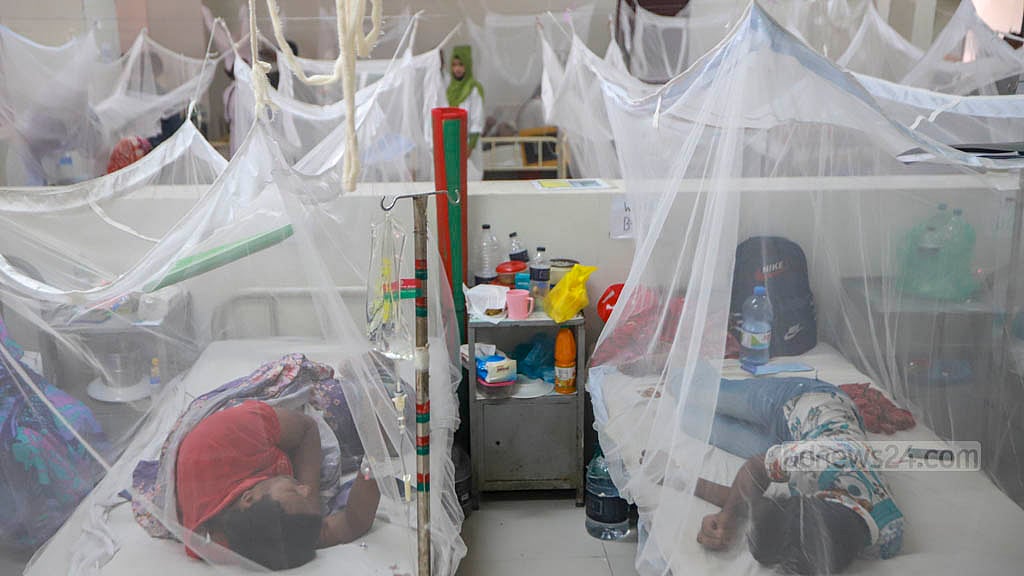 2,201 new dengue cases, 8 deaths 