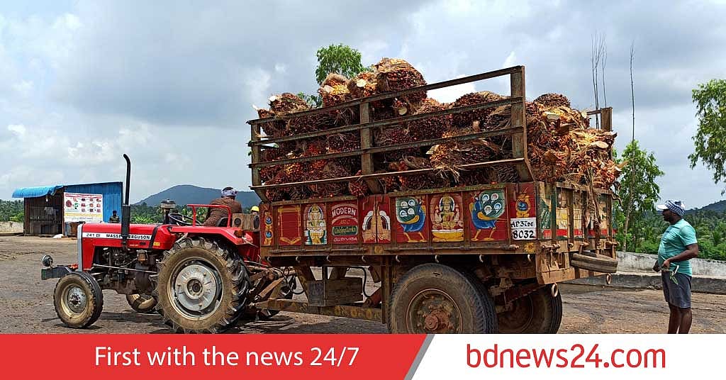 Top buyer India's Dec palm oil imports jump to 4-month high - Vimarsana News