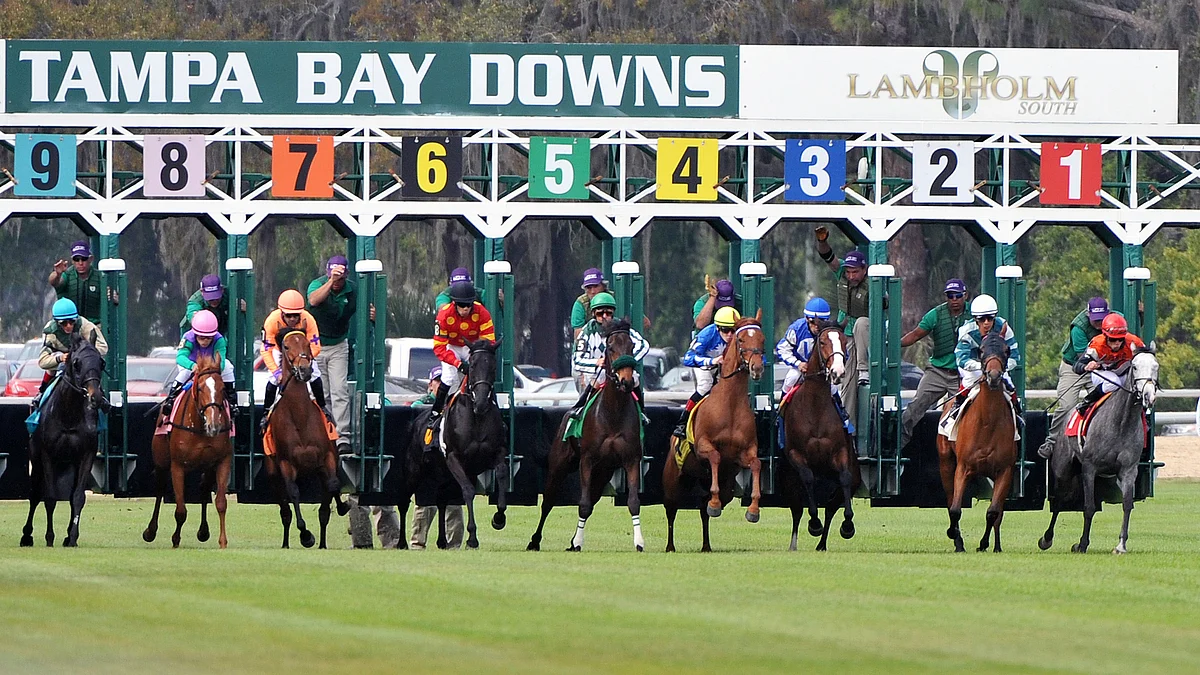Horse Racing bonanza: Garrity picks races at Tampa Bay Downs, Fonner Park, and Will Rogers Downs