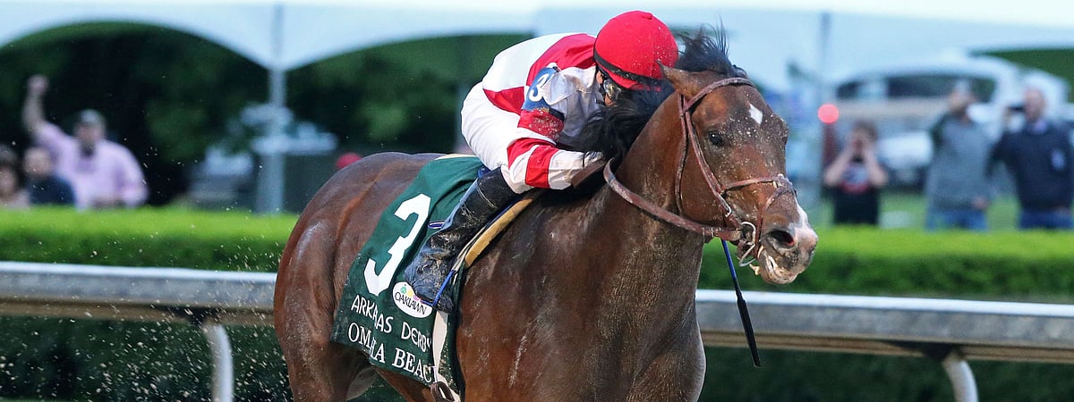 Where S The Action Garrity Picks The Horses At The Fair