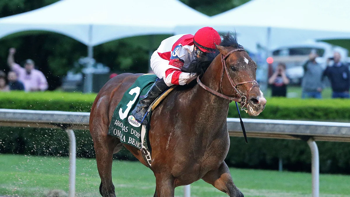 Bet the horses! Garrity picks races at Gulfstream and Oaklawn Parks