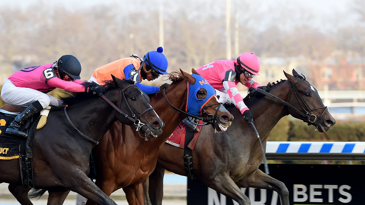 Garrity's Saturday Stakes picks races at Belmont, Keeneland and Monmouth Park and he's seeking some income from Tax