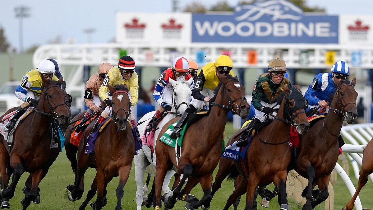 RT and SmartCap pick the Sunday Card at Woodbine, including the $300K Northern Dancer and the $600K Taylor stakes races