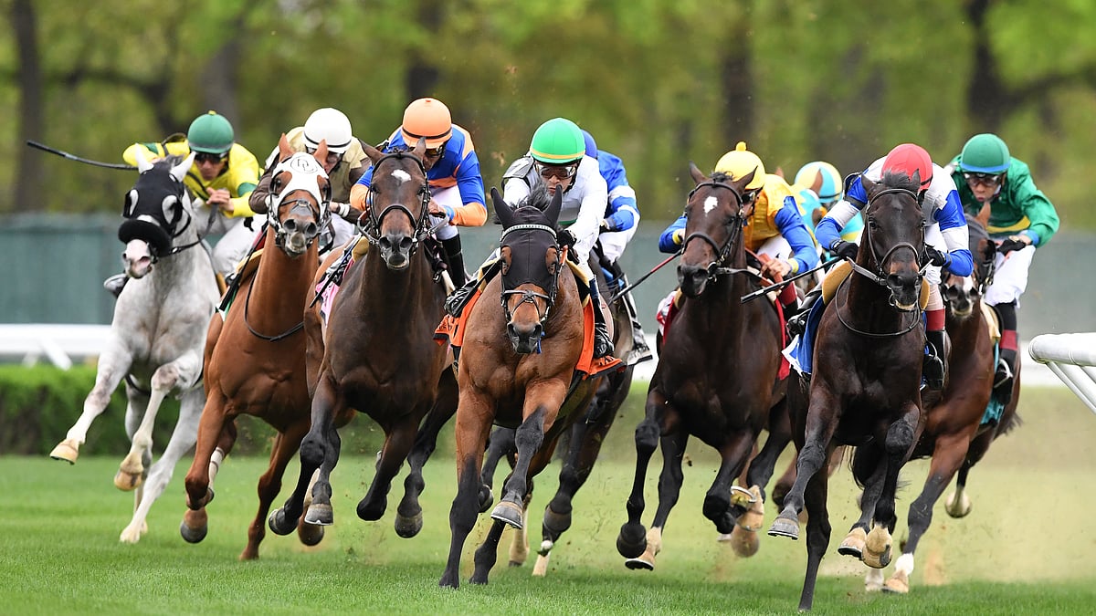 Thoroughbreds Saturday McMudder picks races at Belmont, Parx, Delaware