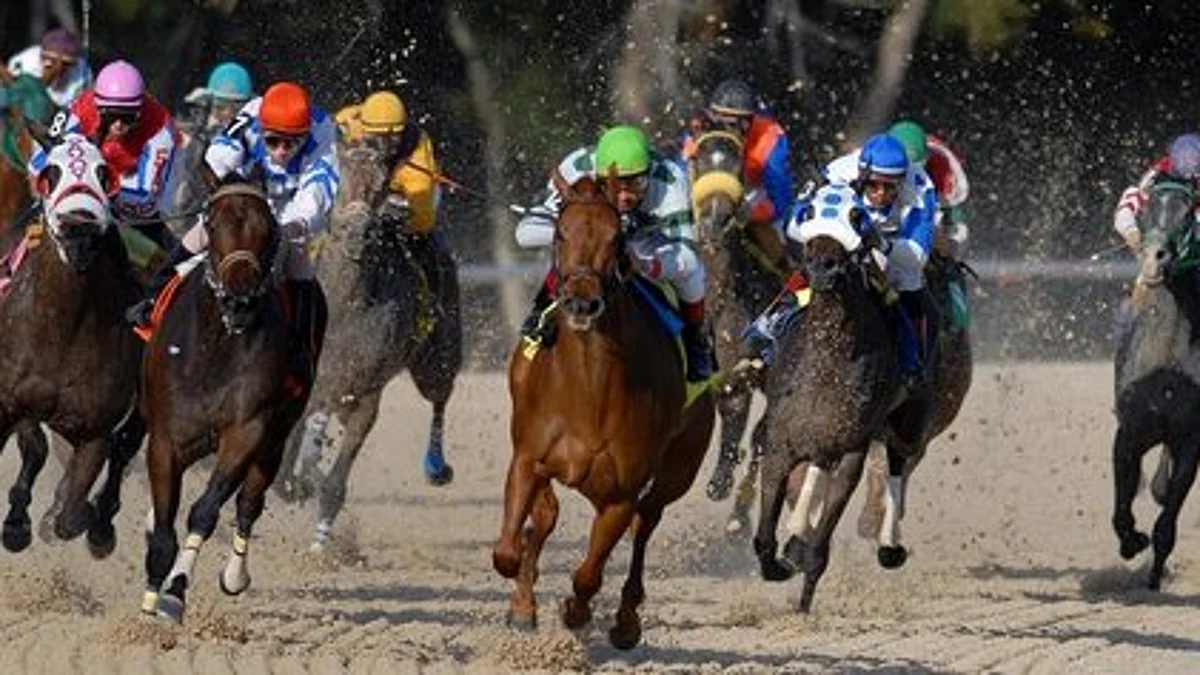 Wednesday at Delaware Park: RT picks the 7th with the help of the SmartCap system