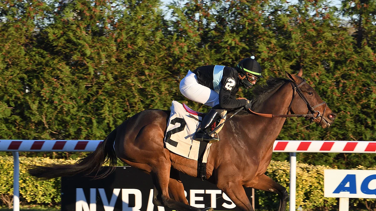 Garrity's Friday horse racing picks include the Perfect Sting Stakes at Saratoga and four more races at the Spa and Del Mar
