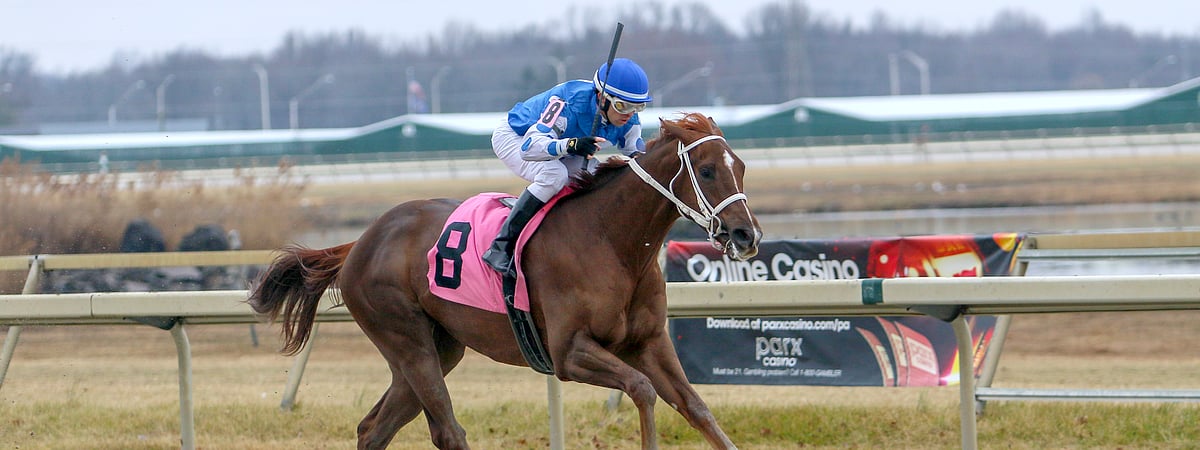 Thoroughbred Tuesday: Garrity picks the horses at Parx Racing and Mahoning Valley Thoroughbred Tuesday: Garrity picks the horses at Parx Racing and Mahoning Valley