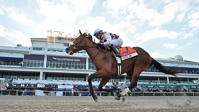 bet thursday horse racing god s tipster returns to gulfstream park for picks in the 3rd 8th