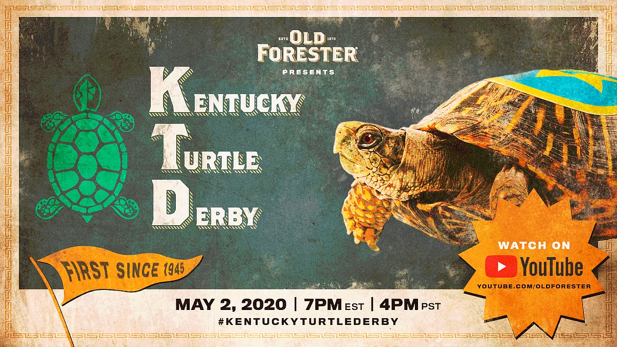 An image provided by Brown-Forman shows a promotion for the Kentucky Turtle Derby, to be shown Saturday at 7 p.m. on YouTube. The sounds may be familiar for Kentucky Derby fans: Triple Crown announcer Larry Collmus is calling the race and race bugler Steve Buttleman will serenade viewers prior to the turtles taking off.