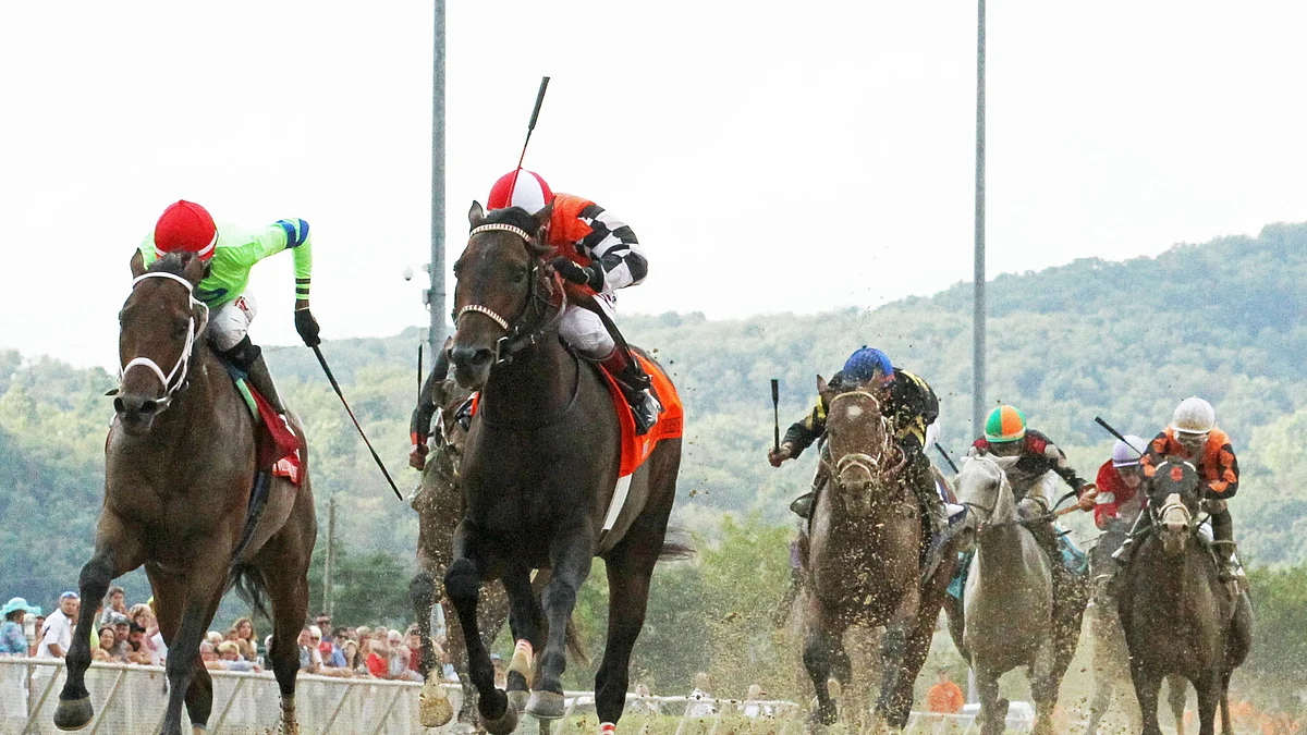 RT and SmartCap return with 2 Tuesday night race picks at Mountaineer