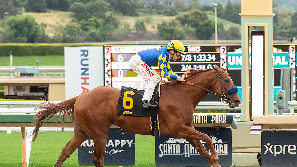 Garrity's Saturday Stakes picks the Arkansas Derby's two divisions (Charlatan, Nadal), plus other big races at Oaklawn and Gulfstream