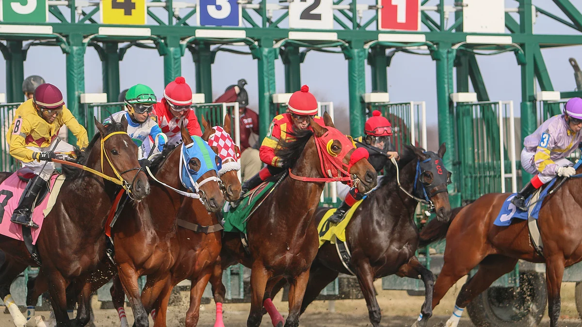 Wednesday at Parx Racing: RT picks the 6th and the 9th with the help of the SmartCap system