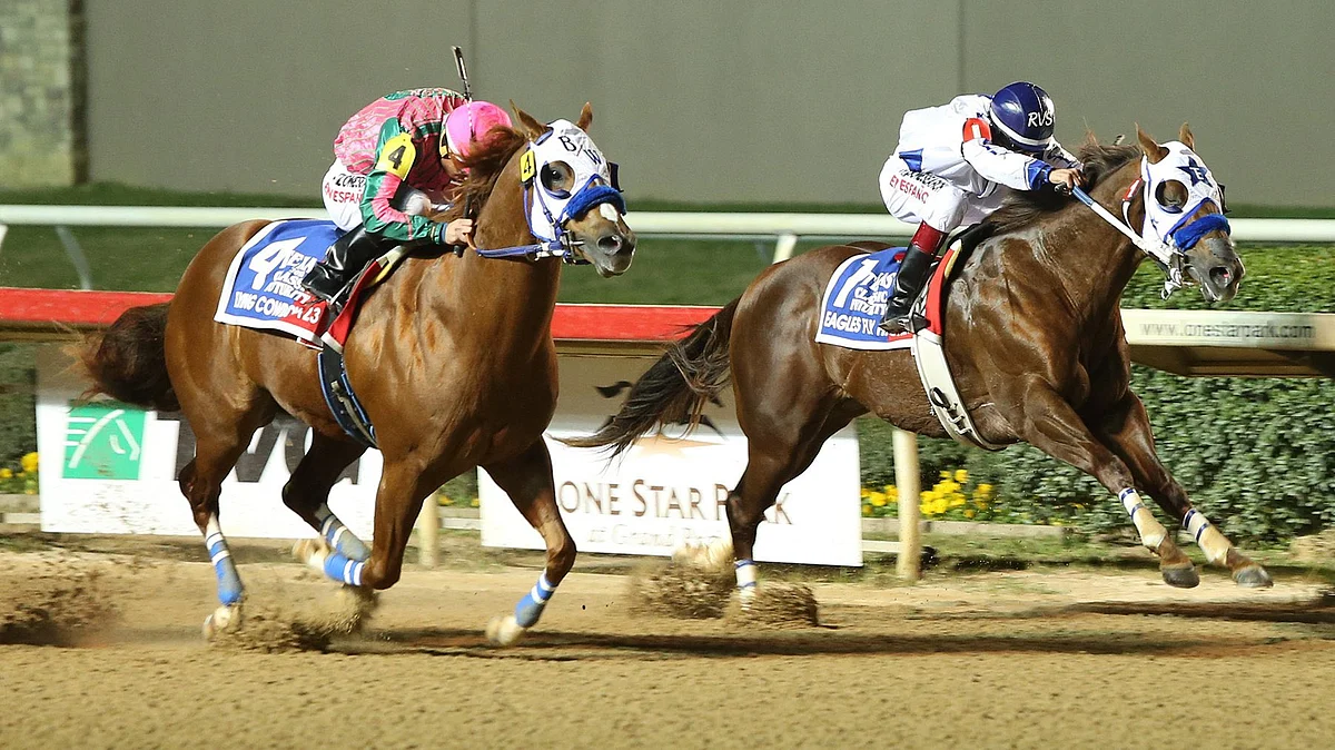 Wednesday at the track: RT goes back to Lone Star Park to examine 3 races with SmartCap