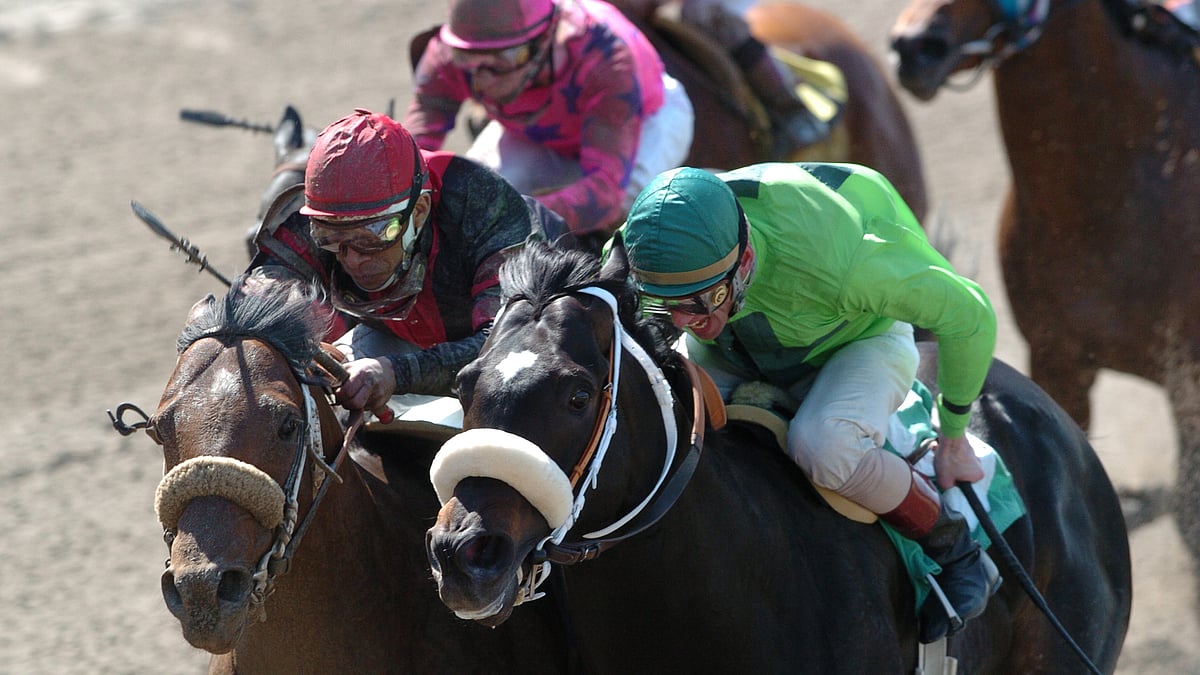 Friday PDJFund Charity Handicapping Contest After his big win