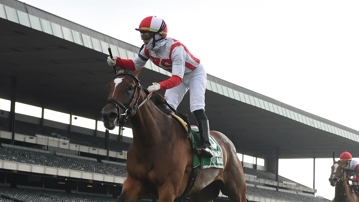Garrity's Saturday Stakes: The Belmont Park card features the Just a Game, Vagrancy, New York and True North