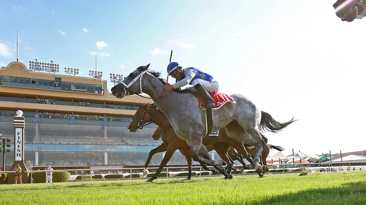 Saturday PDJFund Handicapping Contest: RT picks 2 races at Lone Star Park, Garrity picks 2 stakes races at Churchill Downs
