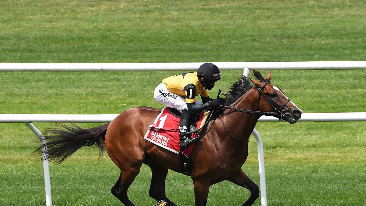 Bet Garrity's Saturday Stakes! Picks for the Haskell plus other races at Monmouth, Saratoga and Woodbine