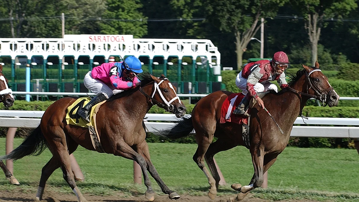 Wednesday at the track: RT goes to Saratoga and picks the $85K Dayatthespa Stakes, and tri’s and exactas for the 6th using SmartCap