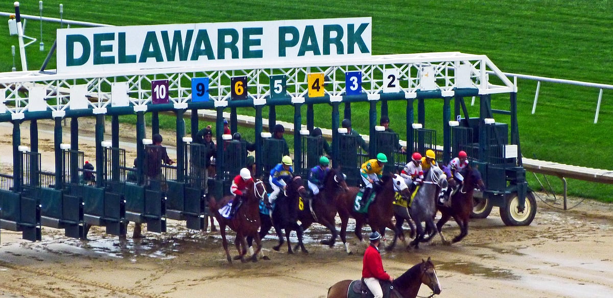 maiden america wednesday horse racing hoop tea s hooptie handicapper picks a 2yo race at delaware park