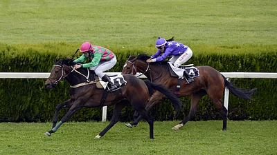 Preakness Preakness