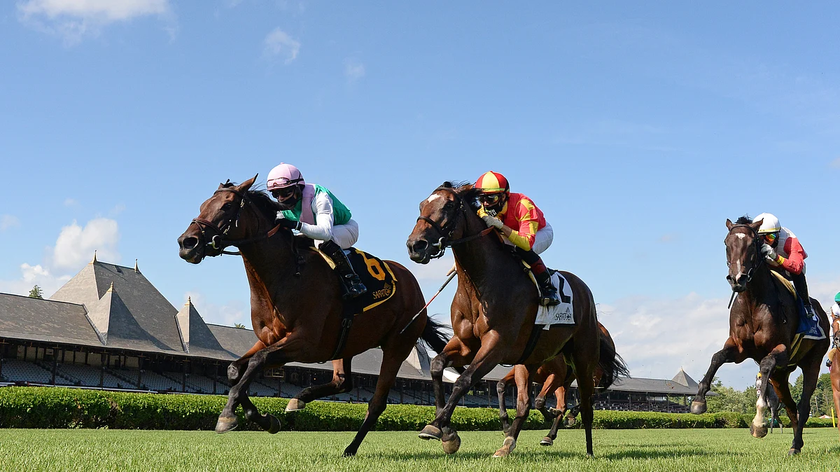 Garrity's Saturday Stakes Picks: Noble Damsel at Belmont, Ack Ack at Churchill & Rodeo Drive, American Pharoah and John Henry at Santa Anita