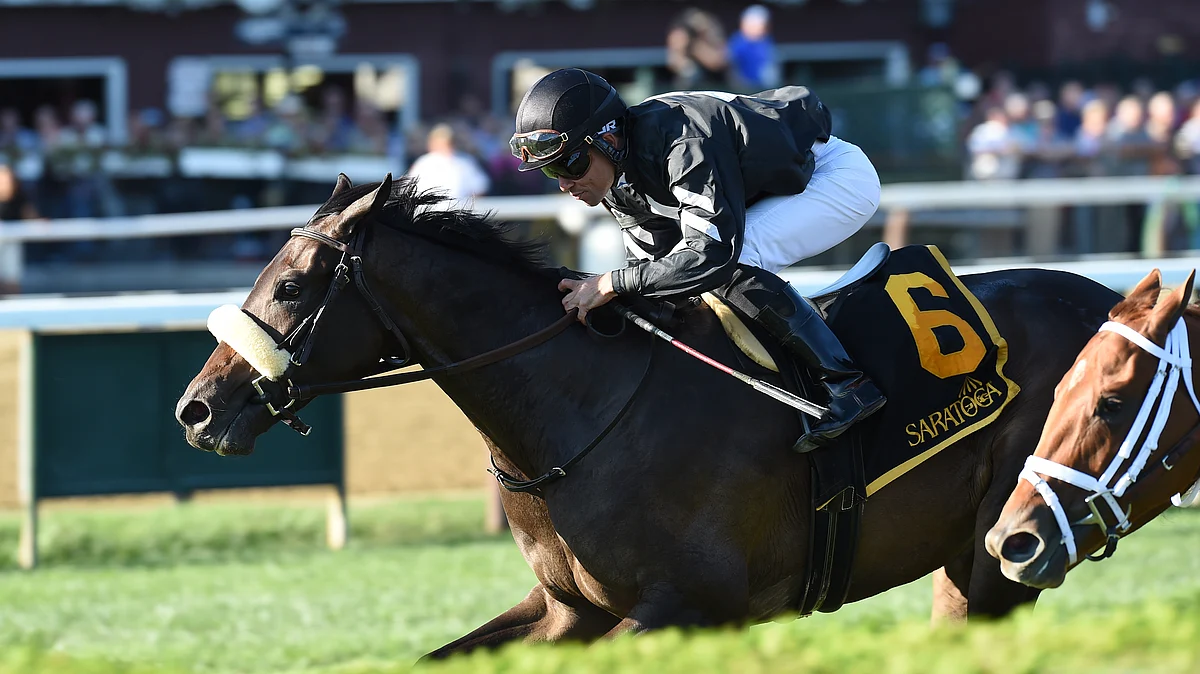 Thursday at the track: Garrity picks the horses at Churchill Downs, Woodbine, and Belmont