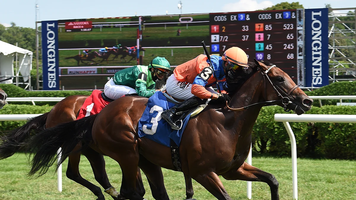 Garrity's Sunday Stakes picks races at Woodbine, Monmouth and Belmont Park, with American Pharoah colt American Monarch running in Toronto
