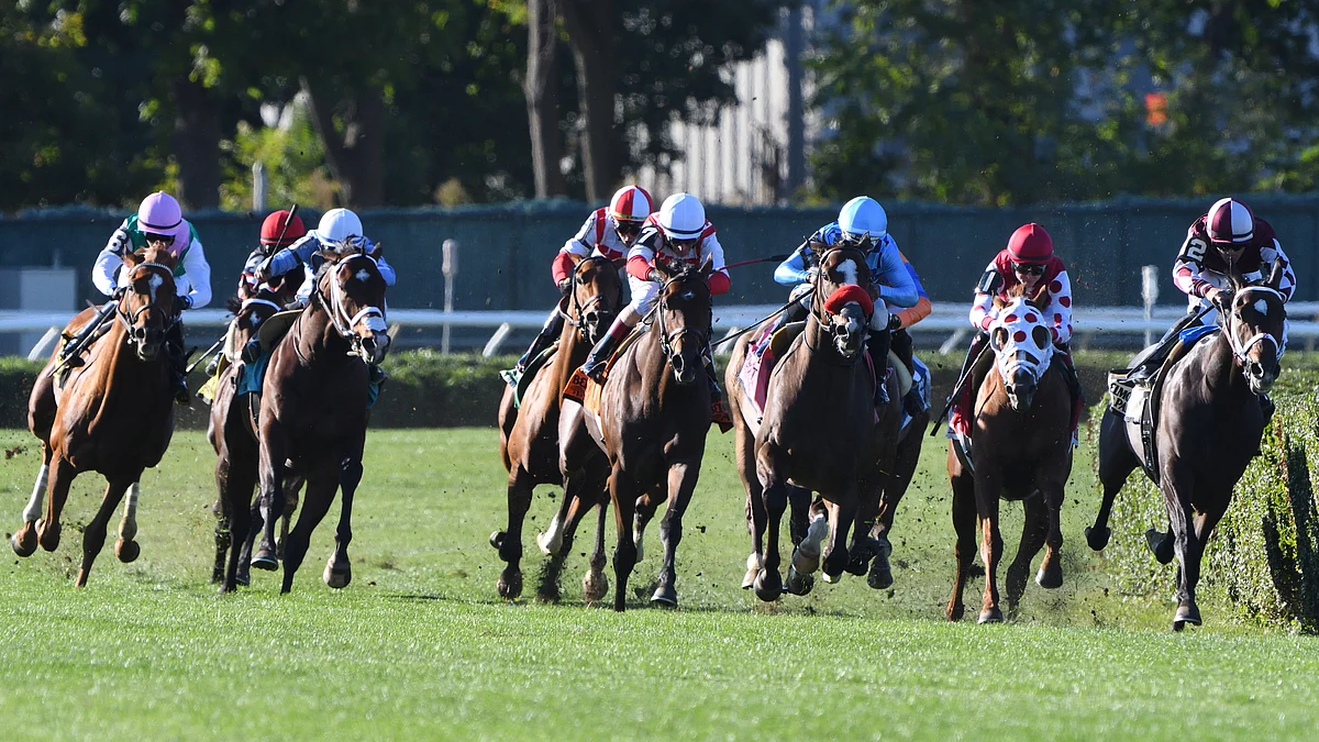 Garrity's Sunday Stakes picks Single races at Belmont, Keeneland and Santa Anita and three at Woodbine – all are on turf