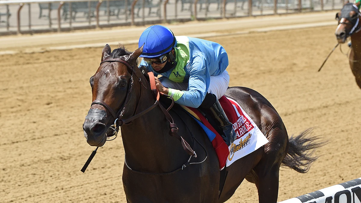 Garrity’s Friday Stakes Picks: The Phoenix and Darley at Keeneland, Bertram F. Bongard at Belmont, and the Pimlico Special at Pimlico