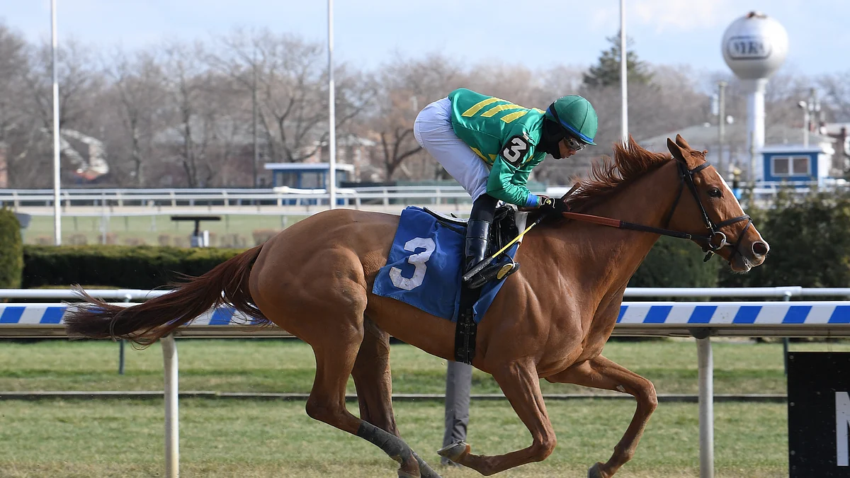 Wednesday at the track! Garrity picks the Lady’s Secret Stakes at Monmouth, the JPMorgan Chase Jessamine Stakes at Keeneland, and more