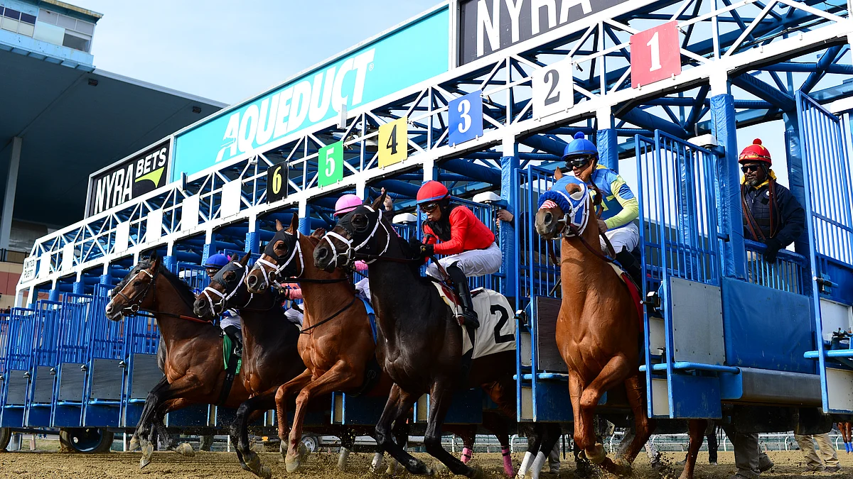 Bet Horse Racing: Garrity picks the 5th, 7th and 9th from Aqueduct, including a MSW for 2-year-olds
