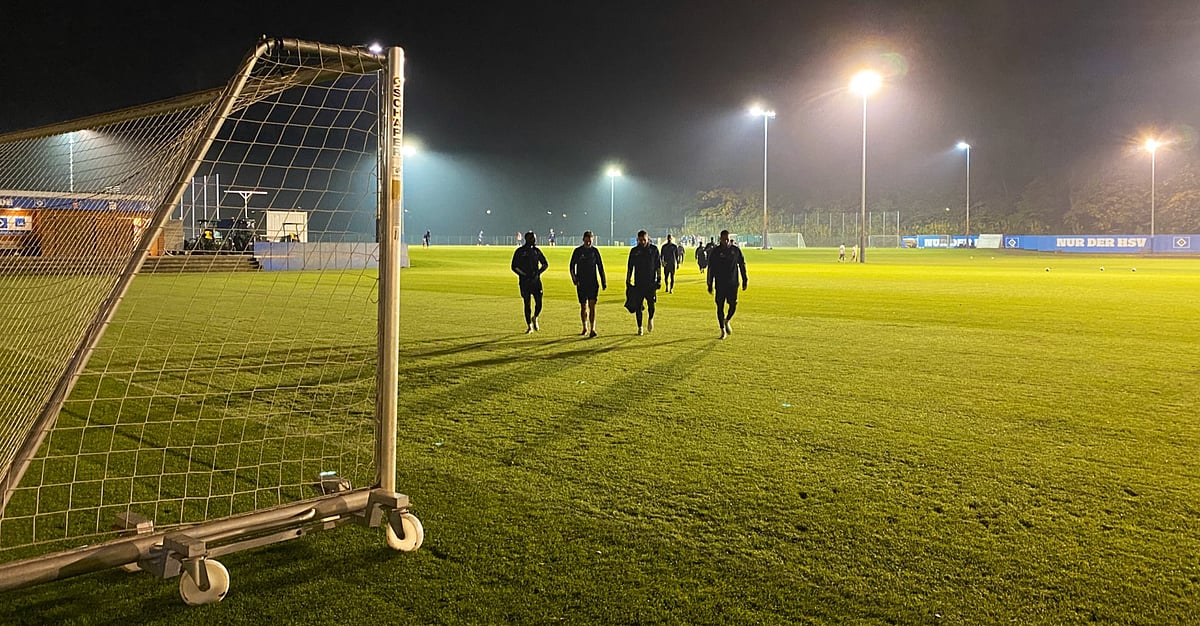 Bet Bundesliga 2 Sean Miller Doesn T Expect Hamburger To Be Cowed By Holstein Kiel When