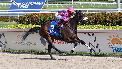 sunday horse racing god s tipster picks the 5th and 8th races at gulfstream park