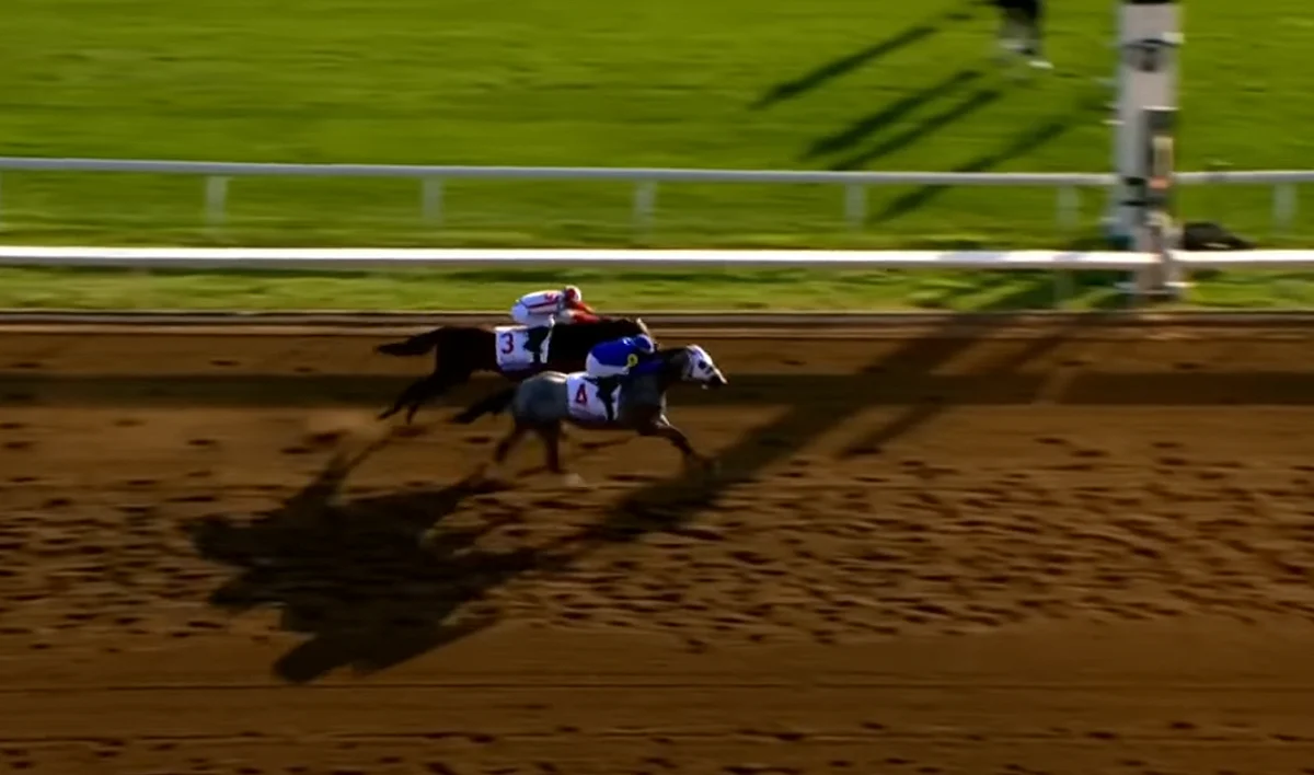 Essential Quality winning the Bluegrass Stakes, 4/3/21.
